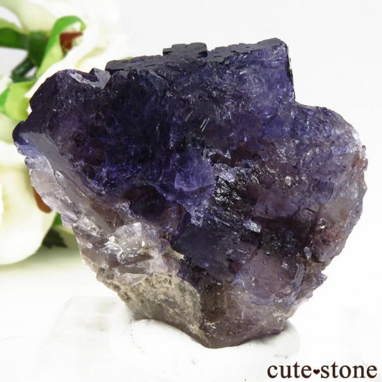 ᥭ Tule Mine ѡץ֥롼ե饤Ȥη뾽ʸС64.7gμ̿1 cute stone