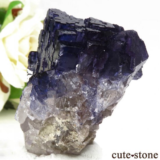 ᥭ Tule Mine ѡץ֥롼ե饤Ȥη뾽ʸС64.7gμ̿2 cute stone