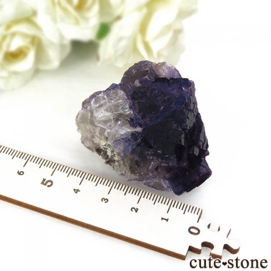 ᥭ Tule Mine ѡץ֥롼ե饤Ȥη뾽ʸС64.7gμ̿4 cute stone
