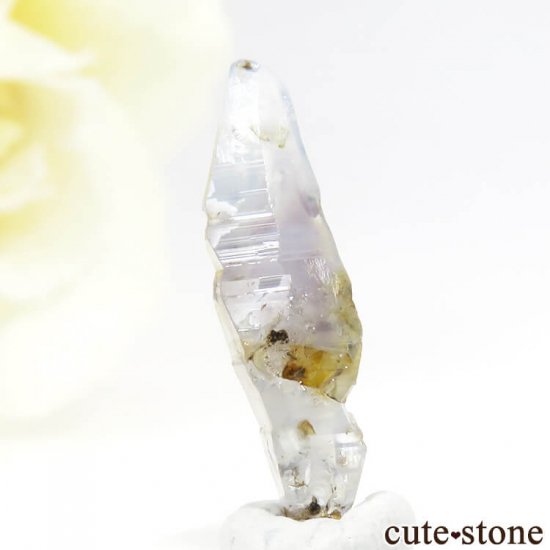 󥫻 եη뾽ʸС4.8ctμ̿0 cute stone