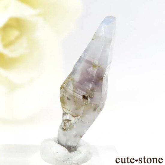 󥫻 եη뾽ʸС4.8ctμ̿2 cute stone