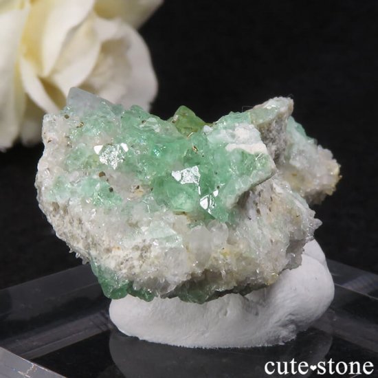 ڥ󻺥꡼ե饤Ȥդ뾽ʸС23gμ̿1 cute stone