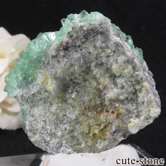 ڥ󻺥꡼ե饤Ȥդ뾽ʸС27gμ̿1 cute stone