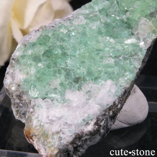 ڥ󻺥꡼ե饤Ȥդ뾽ʸС30gμ̿2 cute stone