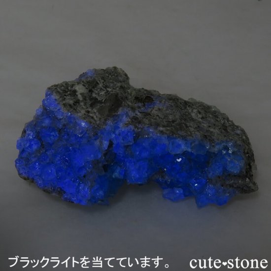 ڥ󻺥꡼ե饤Ȥդ뾽ʸС20gμ̿4 cute stone