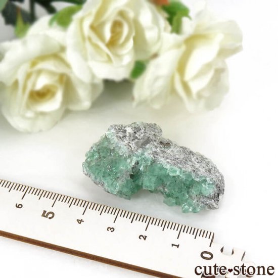 ڥ󻺥꡼ե饤Ȥդ뾽ʸС20gμ̿5 cute stone