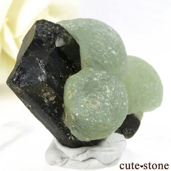 ޥ껺 ץʥȡԥɡȤθСʹʪɸܡ28gμ̿0 cute stone