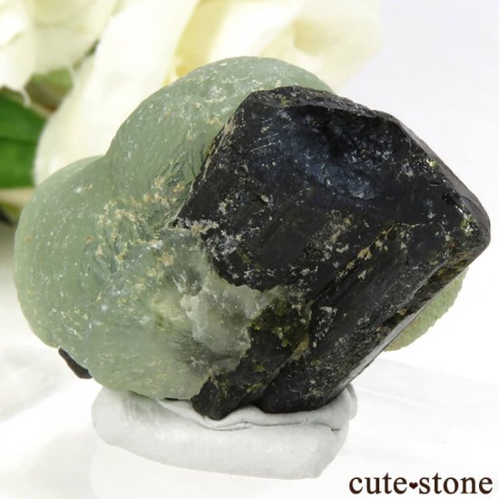 ޥ껺 ץʥȡԥɡȤθСʹʪɸܡ28gμ̿1 cute stone