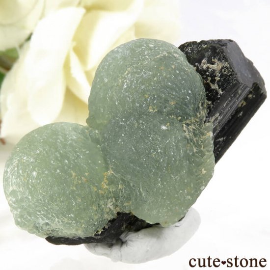 ޥ껺 ץʥȡԥɡȤθСʹʪɸܡ28gμ̿2 cute stone