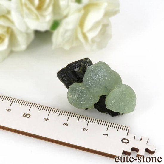 ޥ껺 ץʥȡԥɡȤθСʹʪɸܡ28gμ̿4 cute stone
