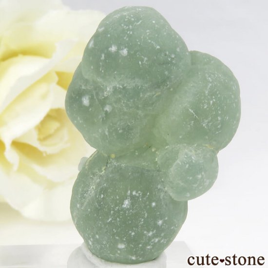 ޥ껺 ץʥȤη뾽ʸС12gμ̿1 cute stone