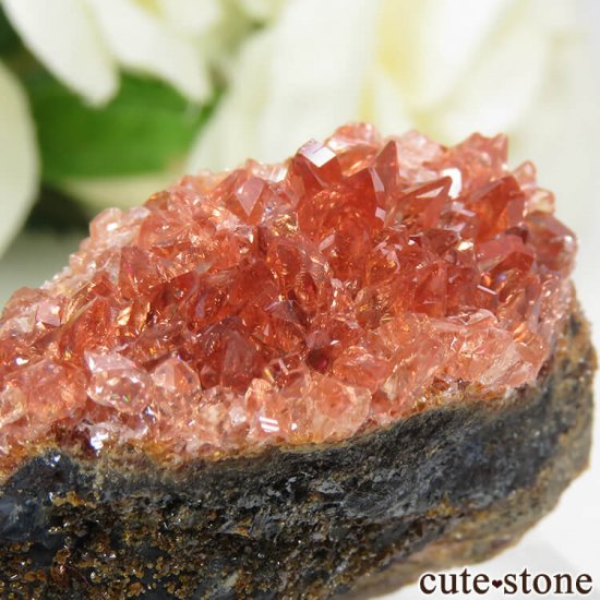 եꥫ N'Chwaning I Mine ɥȤդ뾽ʸС 33gμ̿0 cute stone