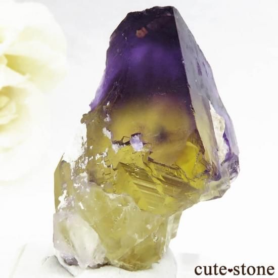 イリノイ州 Cave-in-Rock産 フローライト（蛍石）の原石 28g - cute