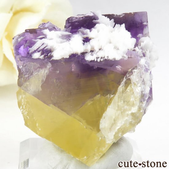 Υ Cave-in-Rock ե饤ȡХ饤Ȥθ 40g μ̿2 cute stone