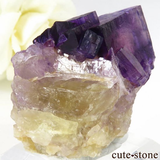 Υ Cave-in-Rock ե饤ȡʷСˤθ 50g μ̿0 cute stone