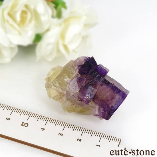 Υ Cave-in-Rock ե饤ȡʷСˤθ 50g μ̿5 cute stone
