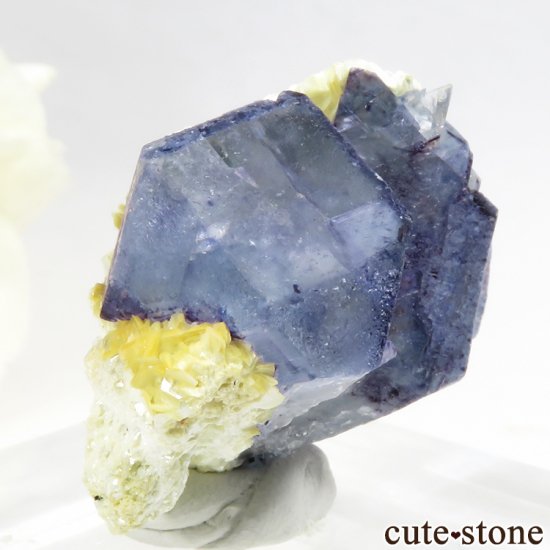 ʥߥӥ 󥴻 ֥롼ե饤Ȥθ 28.6gμ̿0 cute stone