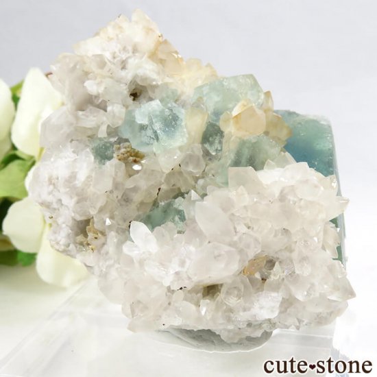 ʥߥӥ Okorusu Mine֥롼꡼ե饤ȡĤθ 103gμ̿0 cute stone