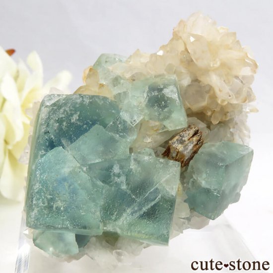 ʥߥӥ Okorusu Mine֥롼꡼ե饤ȡĤθ 103gμ̿2 cute stone