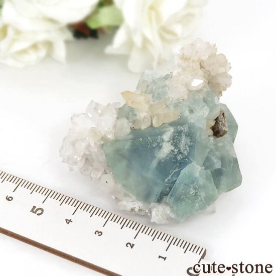 ʥߥӥ Okorusu Mine֥롼꡼ե饤ȡĤθ 103gμ̿4 cute stone