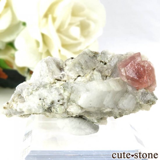 フランス モンブラン産 ピンクフローライトの母岩付き結晶（原石） 10g - cute stone -