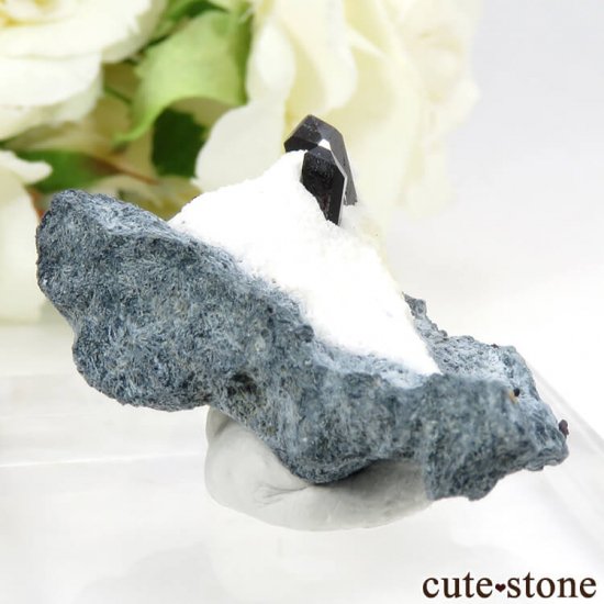 ե˥ ͥץʥȤդ뾽ʸС 7.7gμ̿0 cute stone