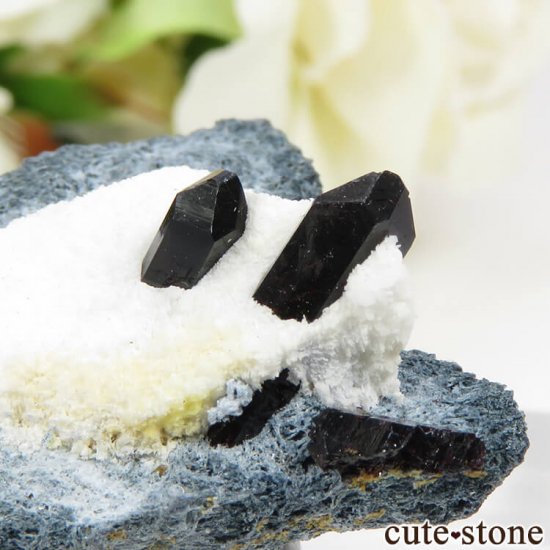 ե˥ ͥץʥȤդ뾽ʸС 7.7gμ̿2 cute stone