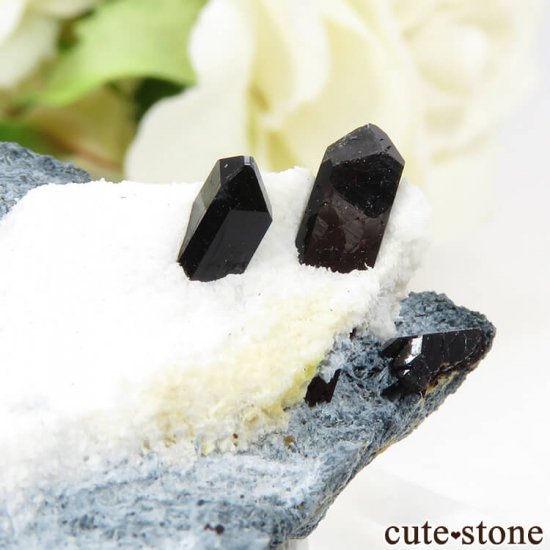 ե˥ ͥץʥȤդ뾽ʸС 7.7gμ̿3 cute stone