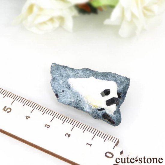 ե˥ ͥץʥȤդ뾽ʸС 7.7gμ̿4 cute stone