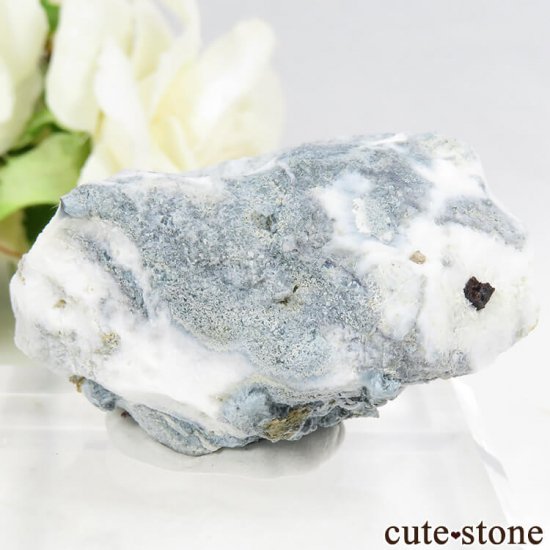 ե˥ ͥץʥȤդ뾽ʸС 29.6gμ̿0 cute stone