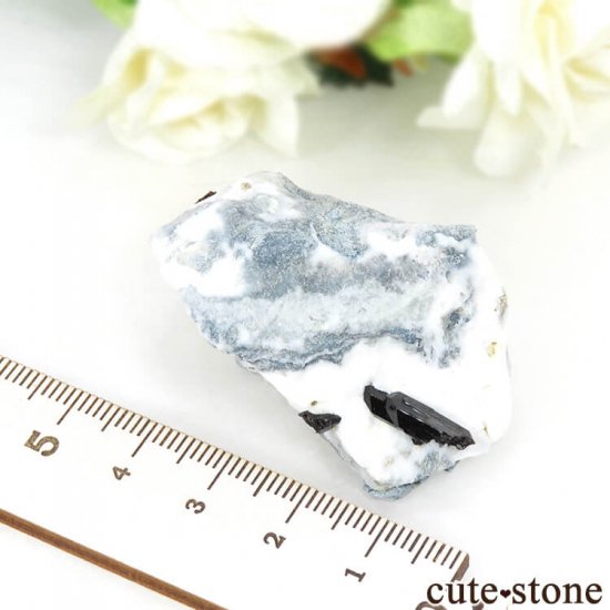 ե˥ ͥץʥȤդ뾽ʸС 29.6gμ̿4 cute stone