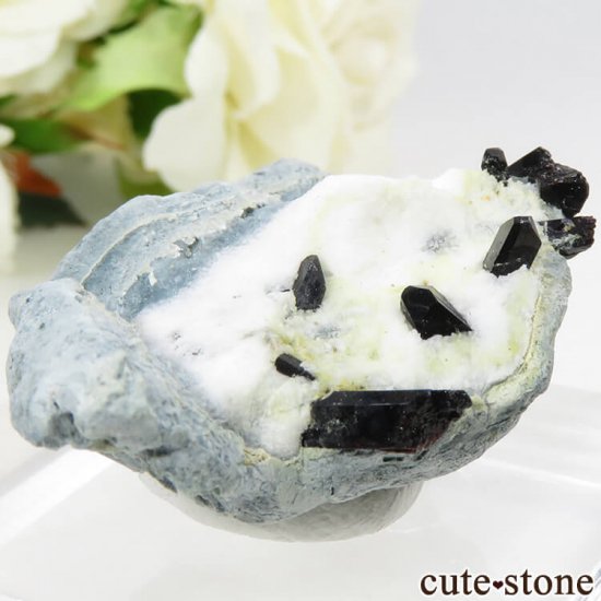 ե˥ ͥץʥȤդ뾽ʸС 9.8gμ̿0 cute stone