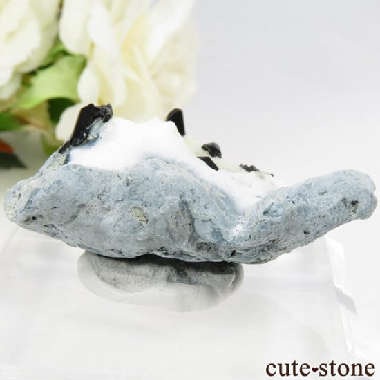 ե˥ ͥץʥȤդ뾽ʸС 9.8gμ̿1 cute stone