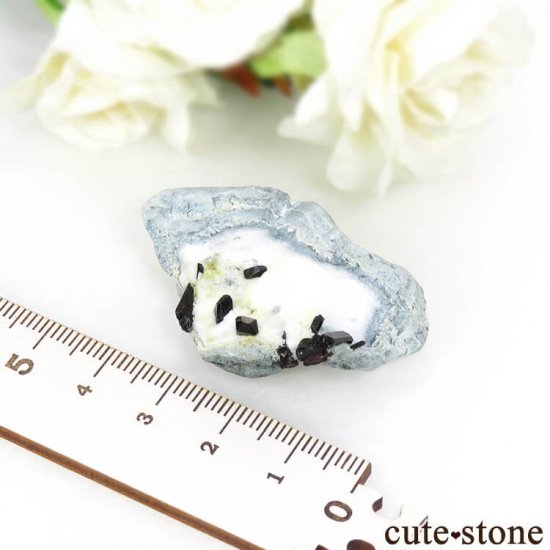 ե˥ ͥץʥȤդ뾽ʸС 9.8gμ̿6 cute stone