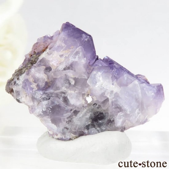 å 󥬥åȻ ѡץե饤Ȥη뾽ʸС 14.5gμ̿1 cute stone