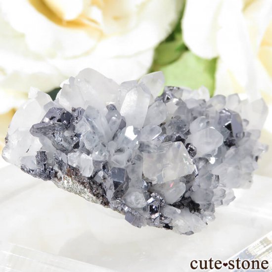 롼ޥ˥ ˥ۻ ʡĤդ뾽ʸС 23.2gμ̿0 cute stone