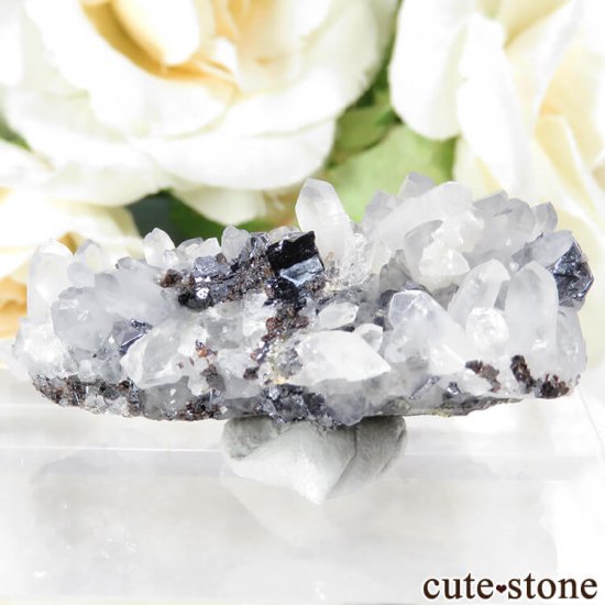 롼ޥ˥ ˥ۻ ʡĤդ뾽ʸС 23.2gμ̿1 cute stone