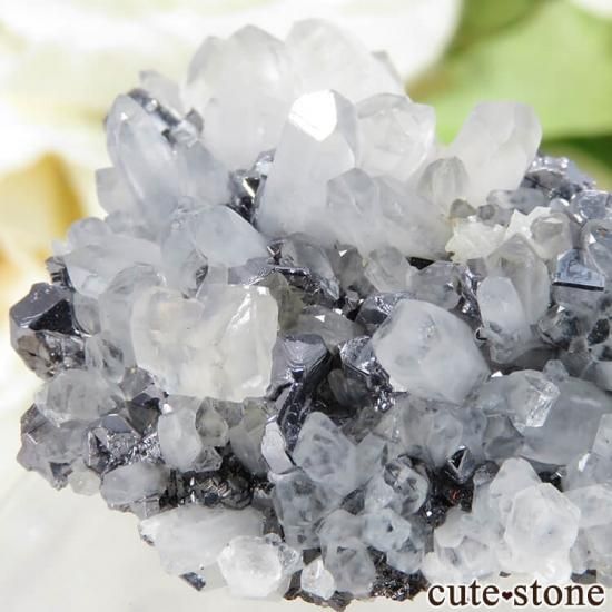 롼ޥ˥ ˥ۻ ʡĤդ뾽ʸС 23.2gμ̿3 cute stone