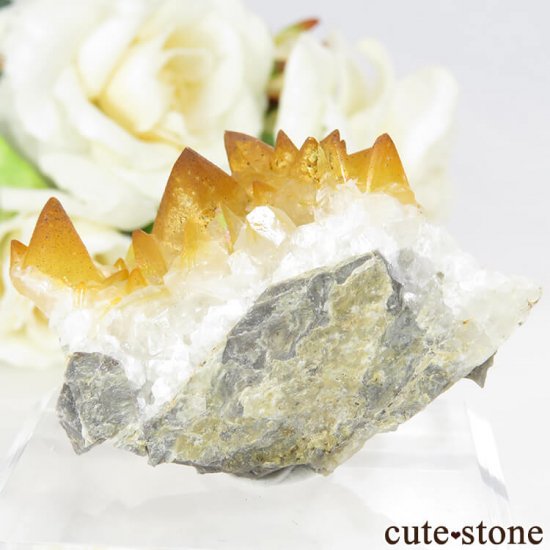 ꥢ ŷ쥤ܡ륵Ȥդ뾽ʸС36.3gμ̿4 cute stone