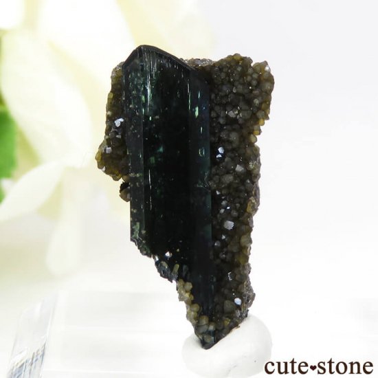 ܥӥ Huanuni mine ӥӥʥȤη뾽 1.4gμ̿3 cute stone