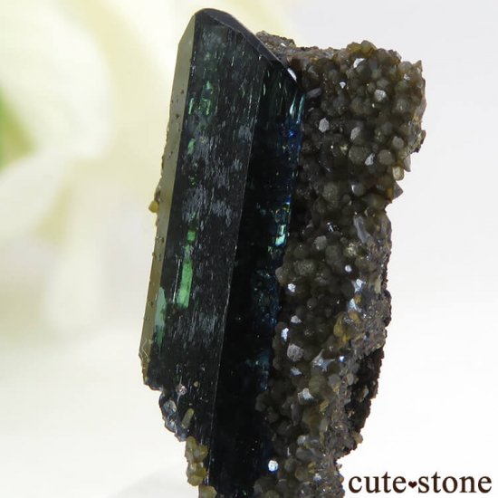 ܥӥ Huanuni mine ӥӥʥȤη뾽 1.4gμ̿4 cute stone