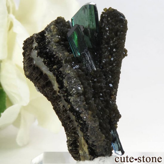 ボリビア Huanuni mine産 ビビアナイトの結晶 10.5g - cute stone -
