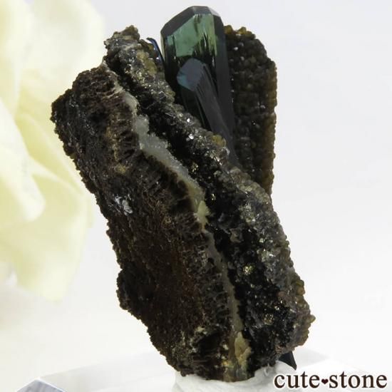 ボリビア Huanuni mine産 ビビアナイトの結晶 10.5g - cute stone -