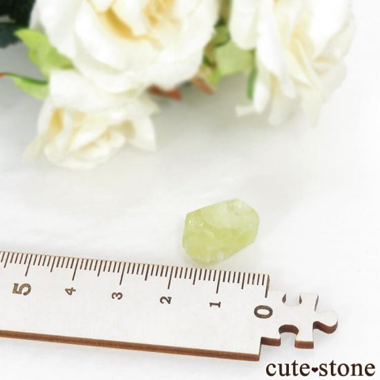 ֥饸 Jenipapo ֥饸ꥢʥȤη뾽 3.1gμ̿3 cute stone