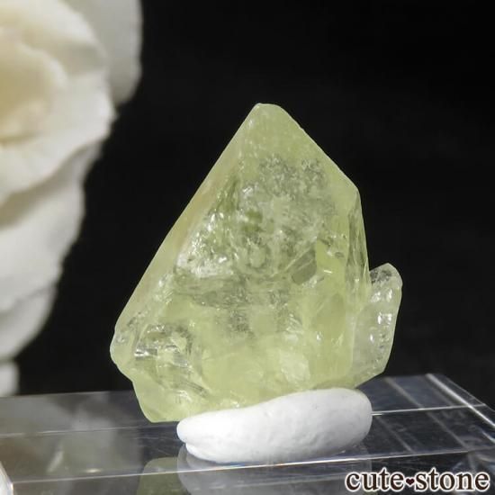 ֥饸 Jenipapo ֥饸ꥢʥȤη뾽 1.9gμ̿1 cute stone