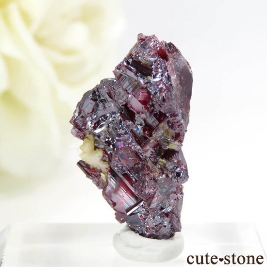 ɥ Bad Schlema ץ롼Ȥη뾽 () 3.6gμ̿1 cute stone