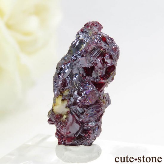 ɥ Bad Schlema ץ롼Ȥη뾽 () 3.6gμ̿2 cute stone