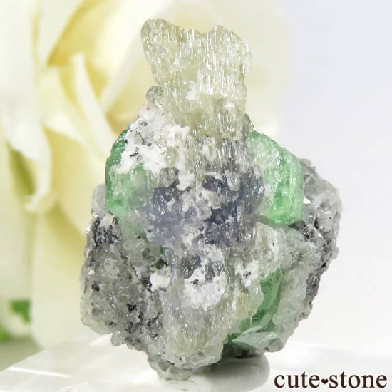 󥶥˥ ĥܥ饤Ȥդ뾽ʸС 33ctμ̿1 cute stone