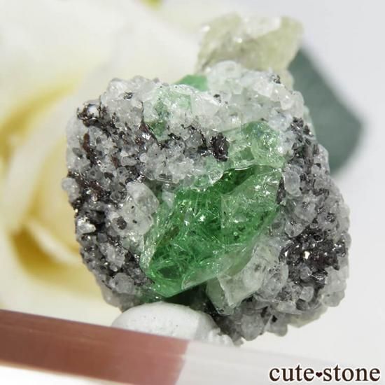 󥶥˥ ĥܥ饤Ȥդ뾽ʸС 33ctμ̿5 cute stone