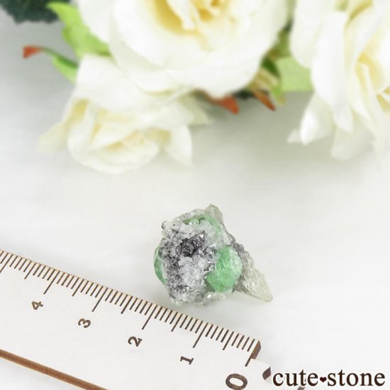 󥶥˥ ĥܥ饤Ȥդ뾽ʸС 33ctμ̿6 cute stone
